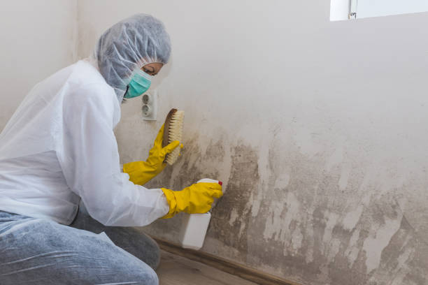 Best Post-Construction Mold Inspection  in Aubrey, TX