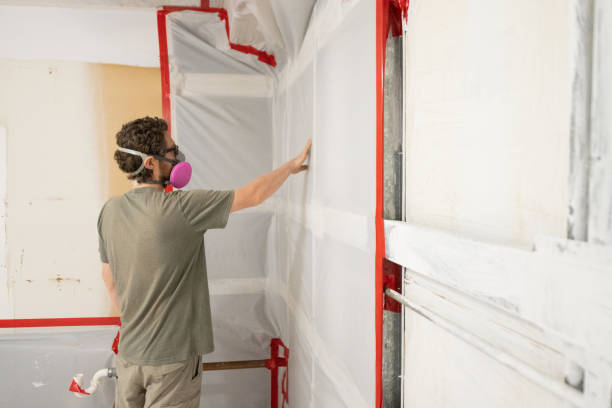  Aubrey, TX Mold Removal Pros
