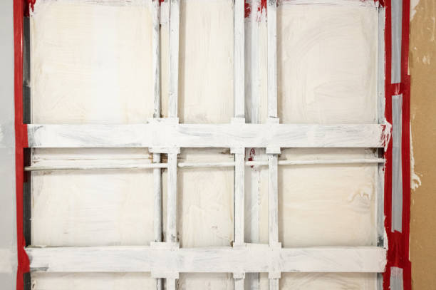 Best Asbestos and Lead Testing During Mold Inspection  in Aubrey, TX