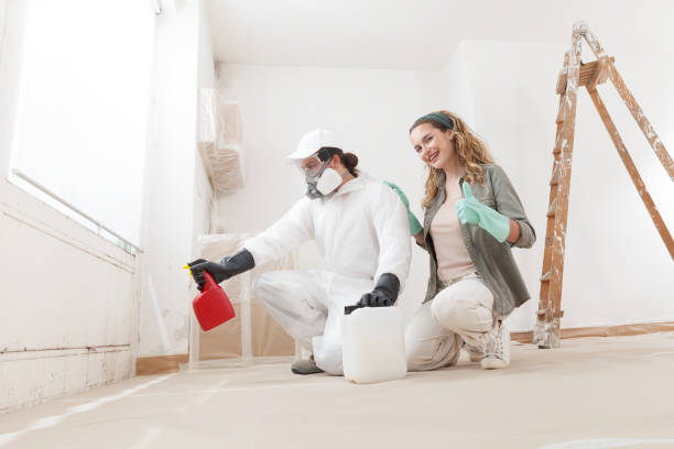 Best Post-Remediation Verification Testing  in Aubrey, TX