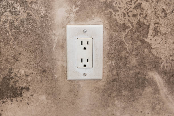 Best Industrial Mold Remediation  in Aubrey, TX