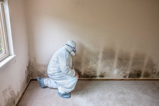 Best Emergency Mold Remediation  in Aubrey, TX